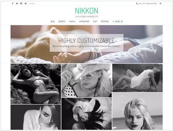 Theme-Nikkon